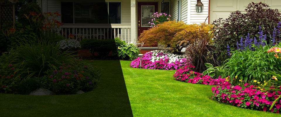 Tully Landscapers