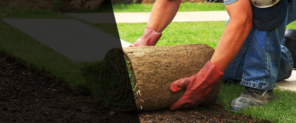 Tully Landscapers